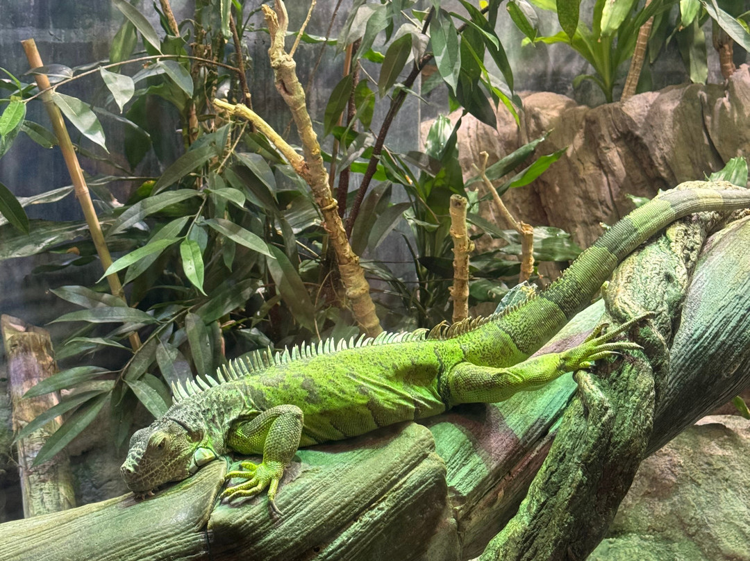 热那亚水族馆-热那亚必去景点