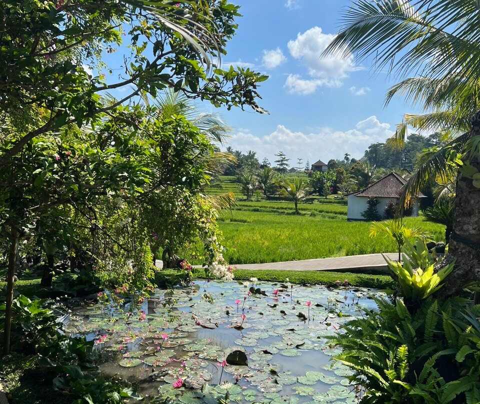卡沙水疗-乌布必去景点