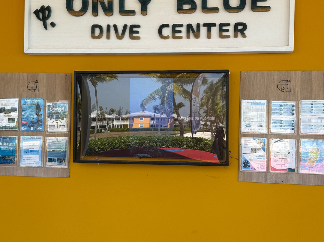 Only Blue Diving Dreams-Cockburn Town必去景点