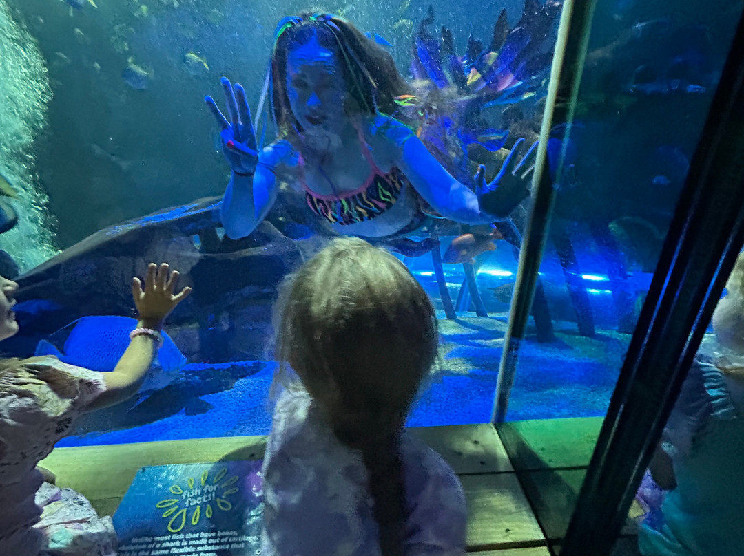 SEA LIFE Hunstanton-Hunstanton必去景点