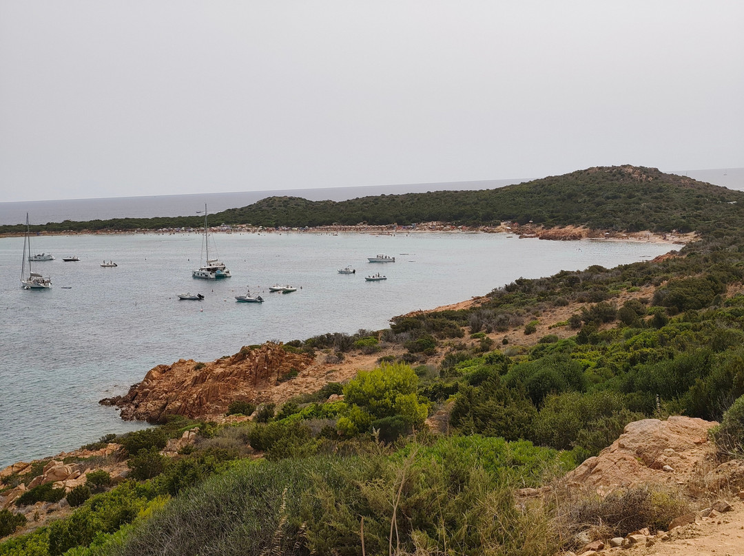 Spiaggia Capo Coda Cavallo-San Teodoro必去景点