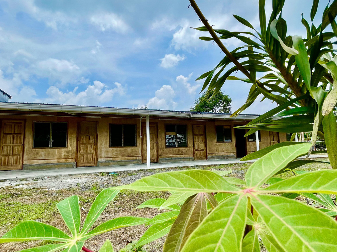 BambooZinc Campstay, Pekan Nabalu