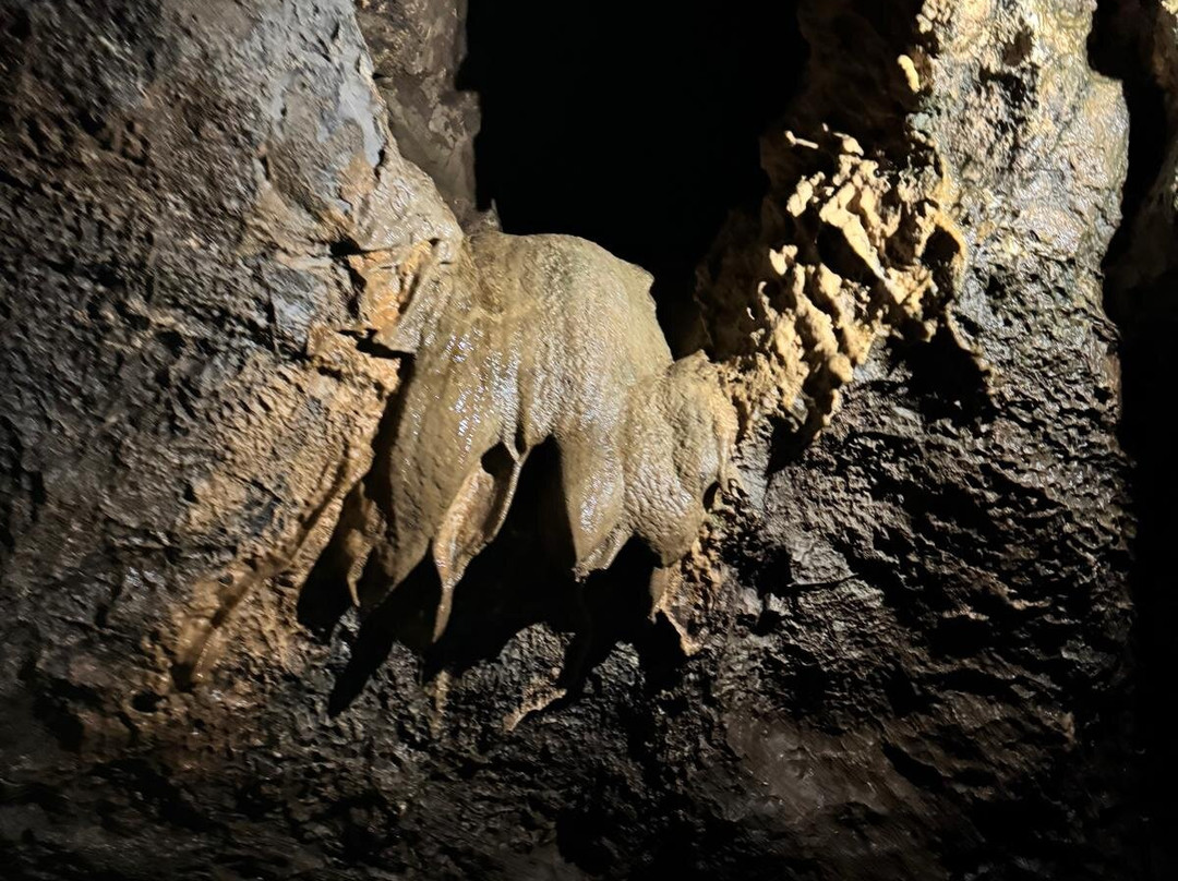 Grottes de Remouchamps-Sougne-Remouchamps必去景点