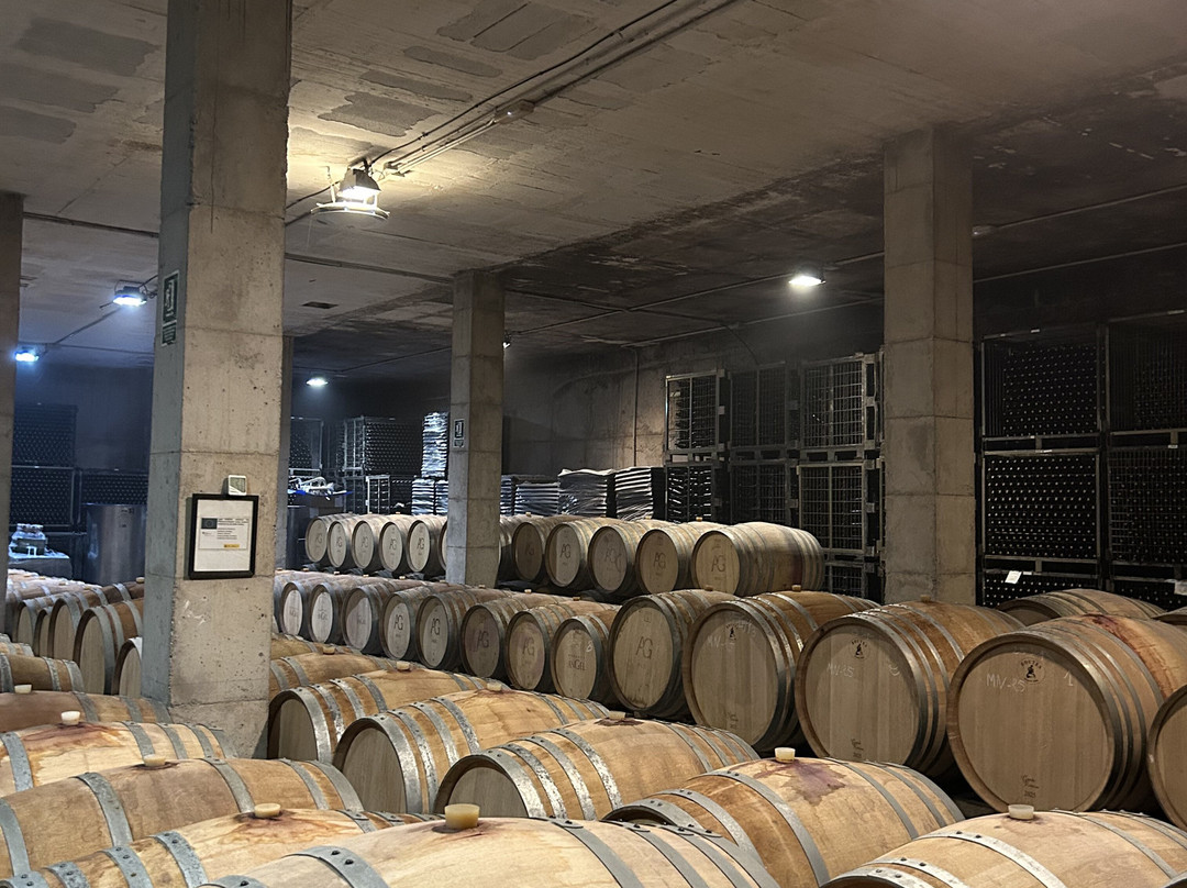 Bodegas Angel-Santa Maria del Cami必去景点