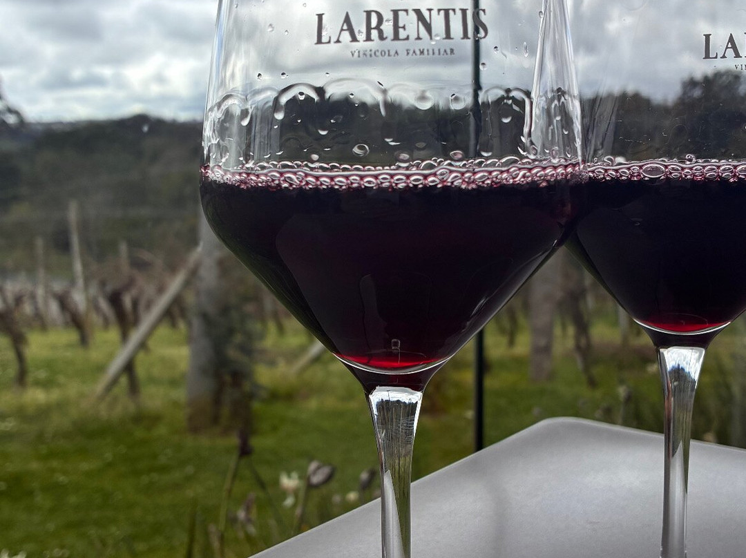 Vinhos Larentis-本图贡萨尔维斯必去景点