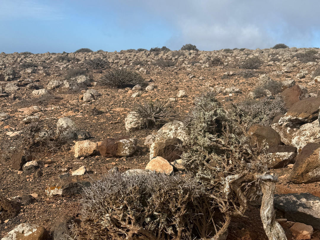 Pico de las Zarzas-Morro del Jable必去景点