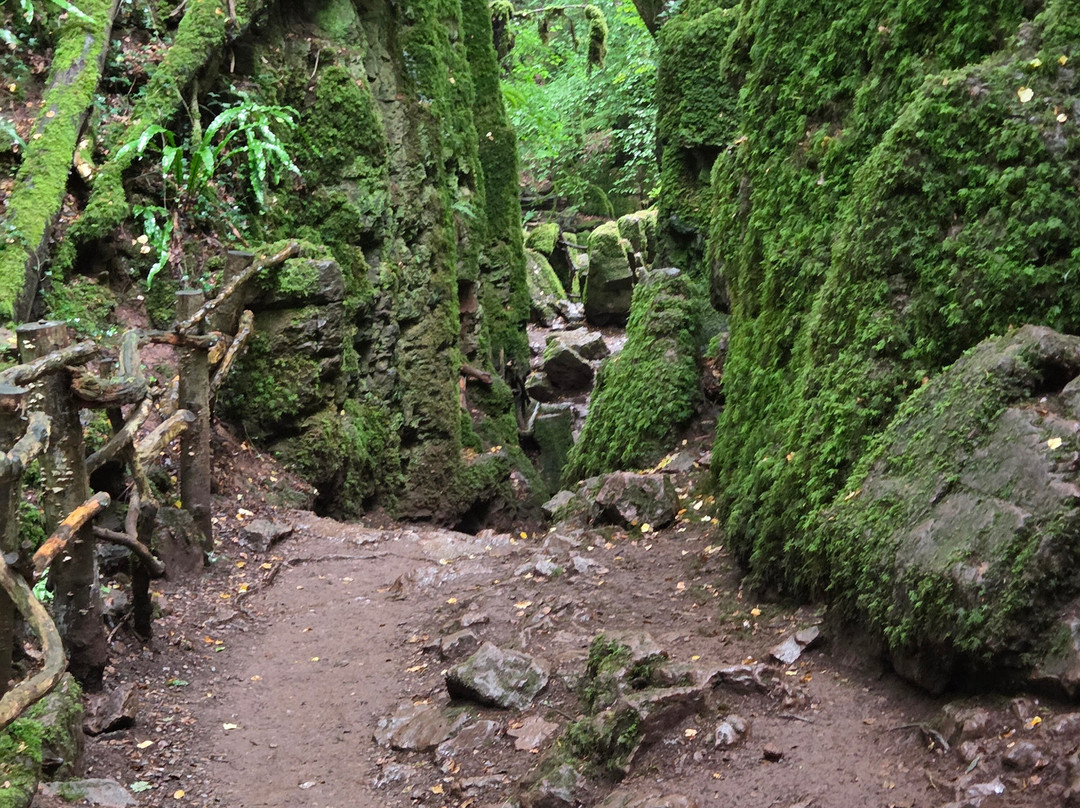 Puzzlewood-Coleford必去景点