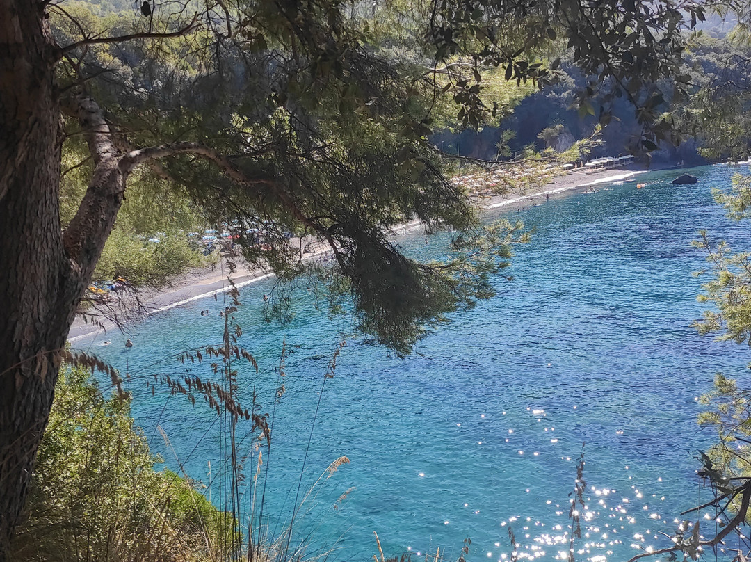 Spiaggia Lido Macarro - Cala 'i don Nicola-马拉泰亚必去景点