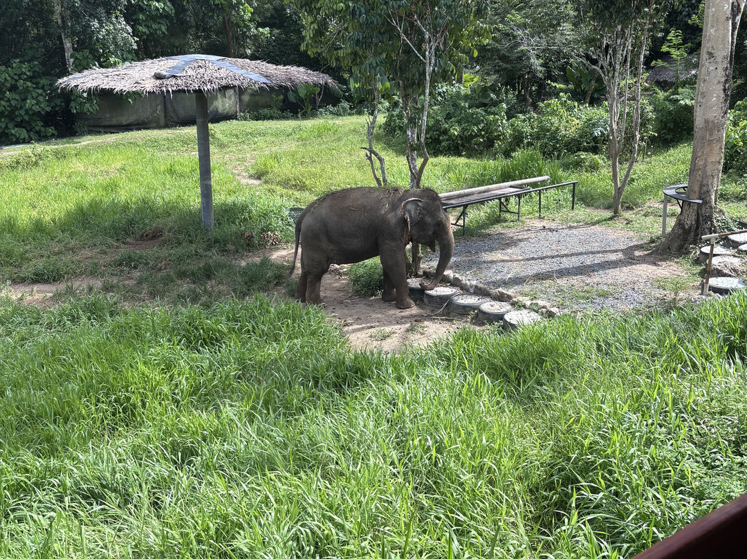 Phuket Elephant Nature Reserve-他朗必去景点