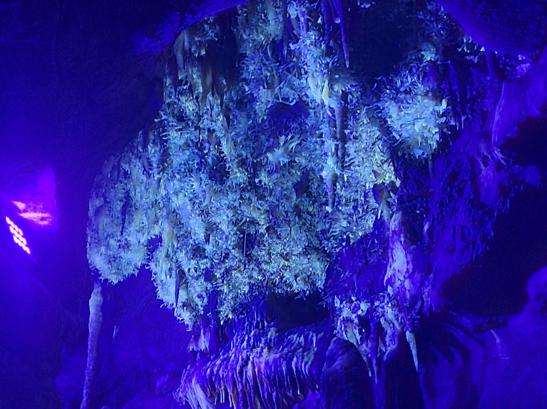 La grotte de Maxange-Le Buisson-de-Cadouin必去景点