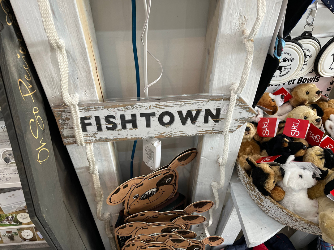 Brixham Harbour-布里克瑟姆必去景点