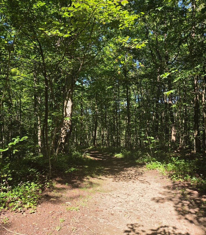 Chautauqua Gorge State Forest-Mayville必去景点