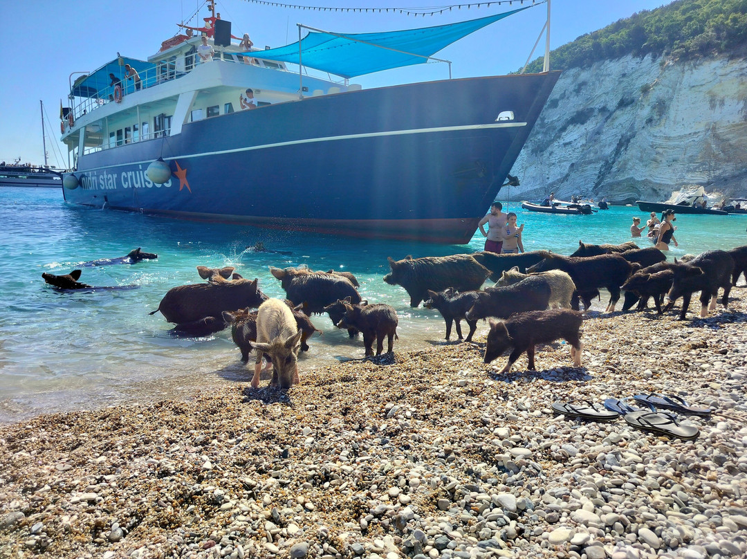 Nidri Star Cruises-Ellomenos必去景点