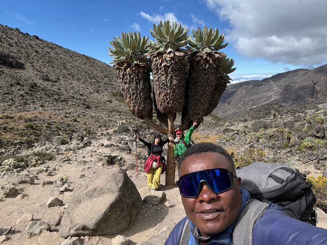 Ambassador Trekking Safaris-Sakina必去景点