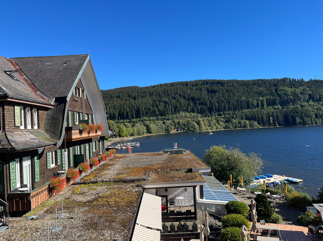 Treschers Schwarzwald Hotel主图