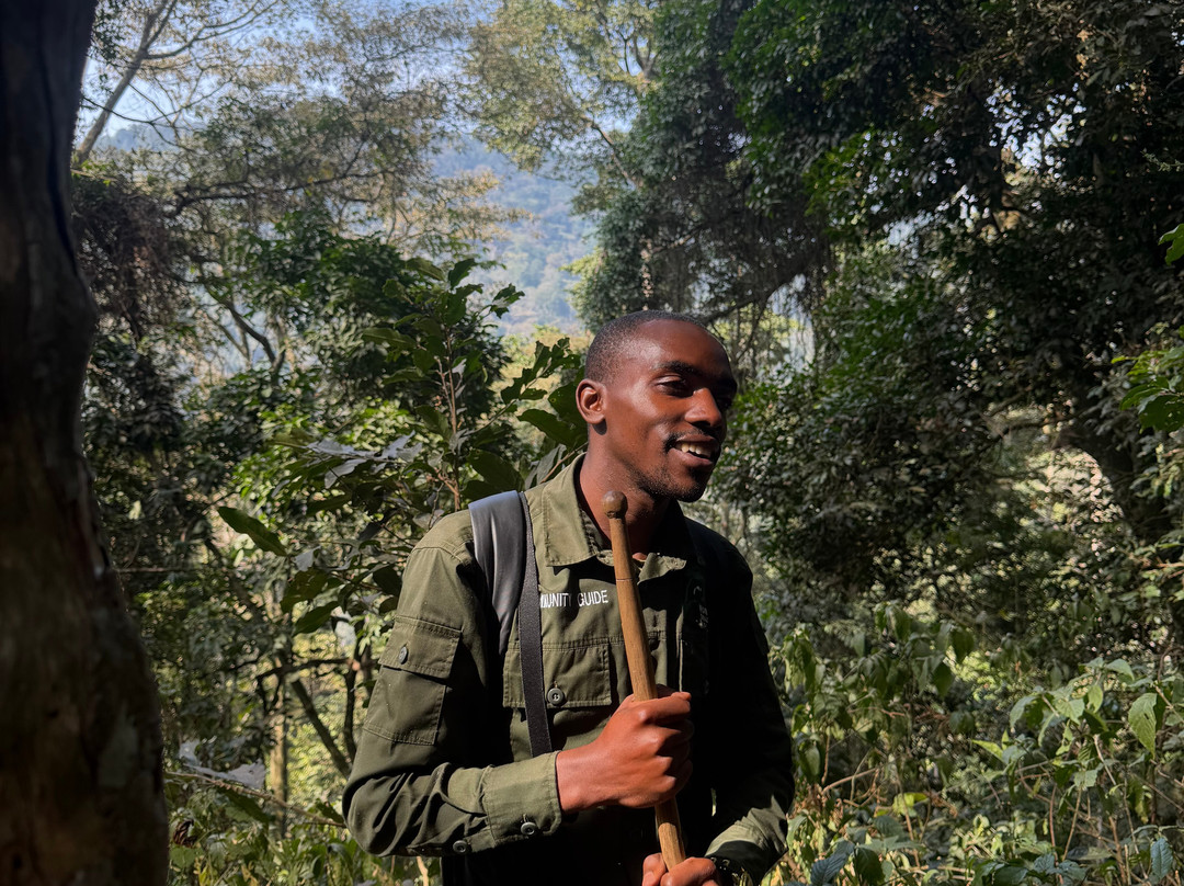 Nyungwe National Park - Rwanda-Western Province必去景点