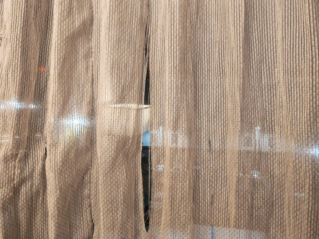 蒙特雷机场希尔顿欢朋酒店主图