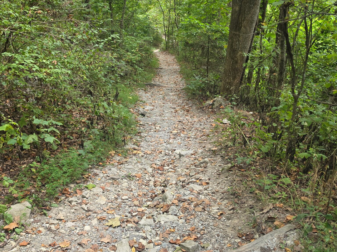 Tri State Peak Trail-Cumberland Gap必去景点