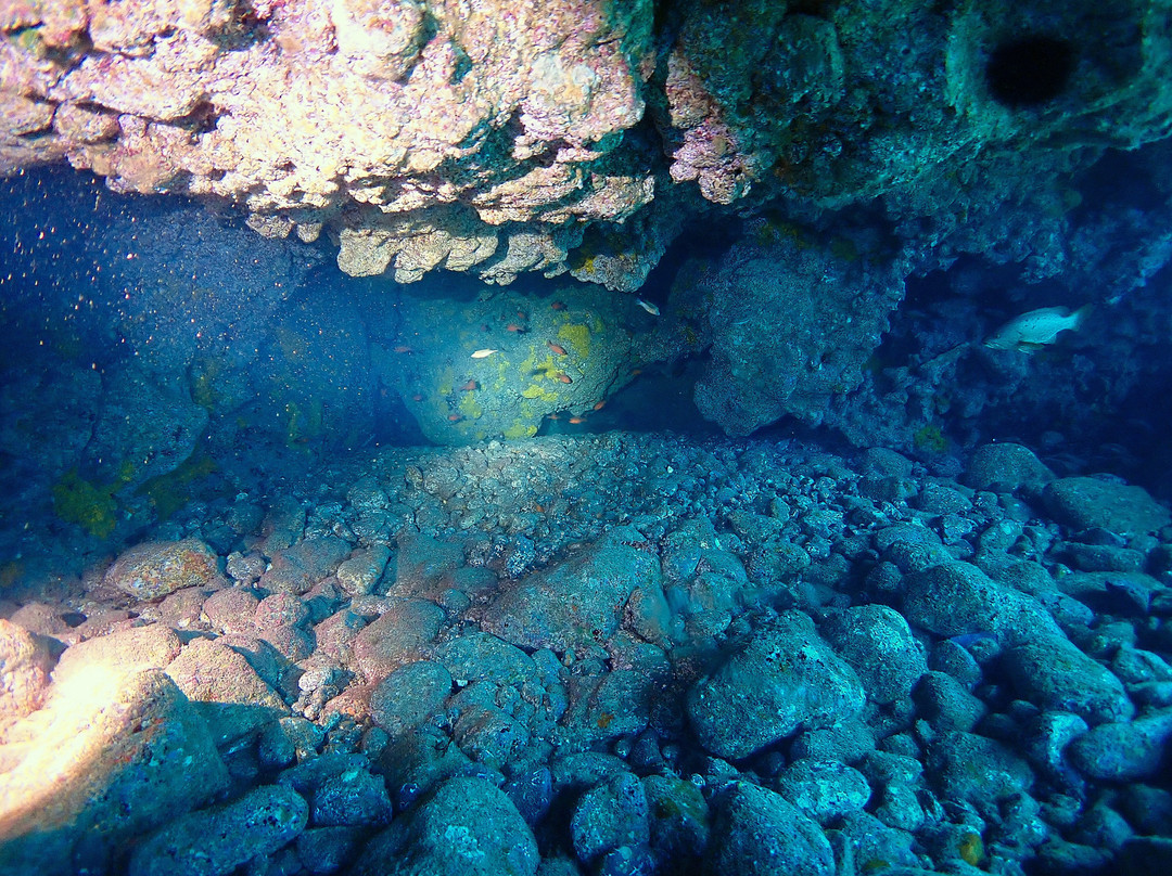 Atalaia Diving Center-Canico必去景点