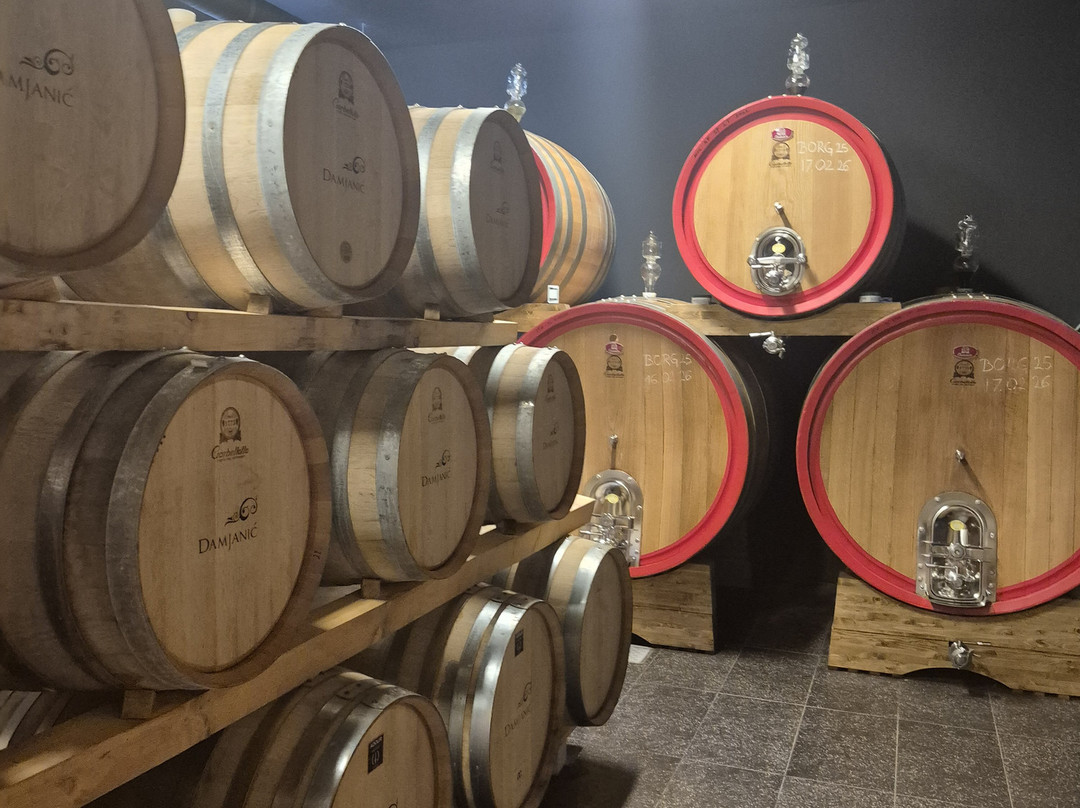 Damjanic Wines-波雷奇必去景点