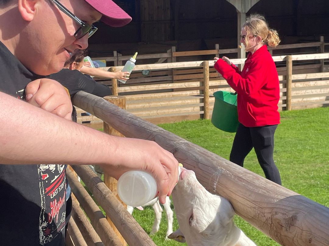 Pennywell Farm-Buckfastleigh必去景点