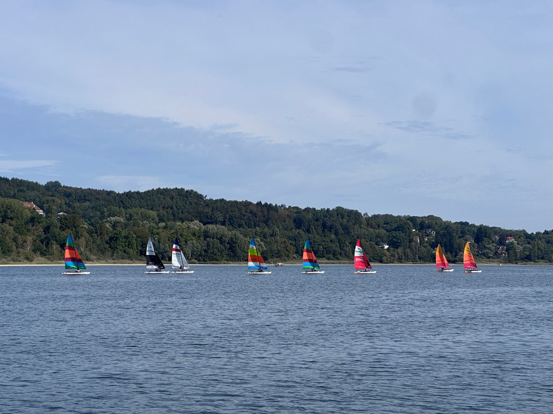 Schifffahrtsgesellschaft Untersee und Rhein-沙夫豪森必去景点