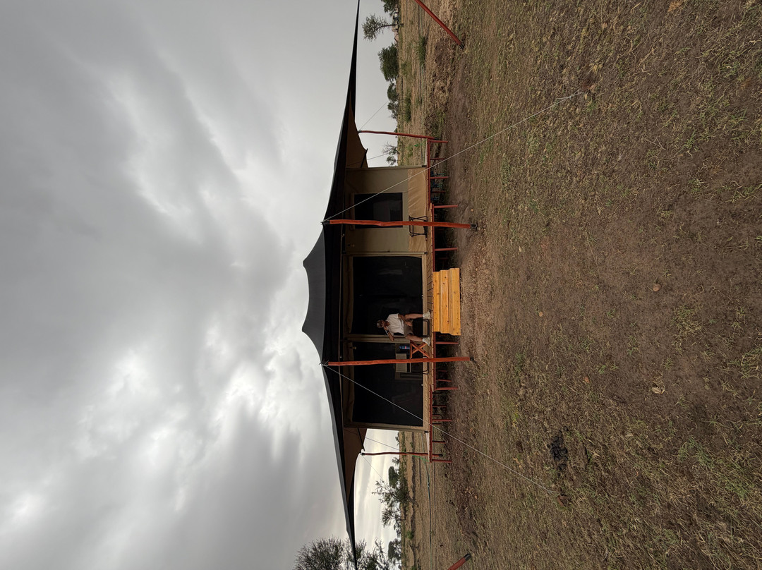 Mbuni Tented Camps-Seronera必去景点