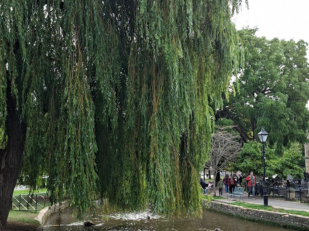 茅斯特拉普旅馆主图