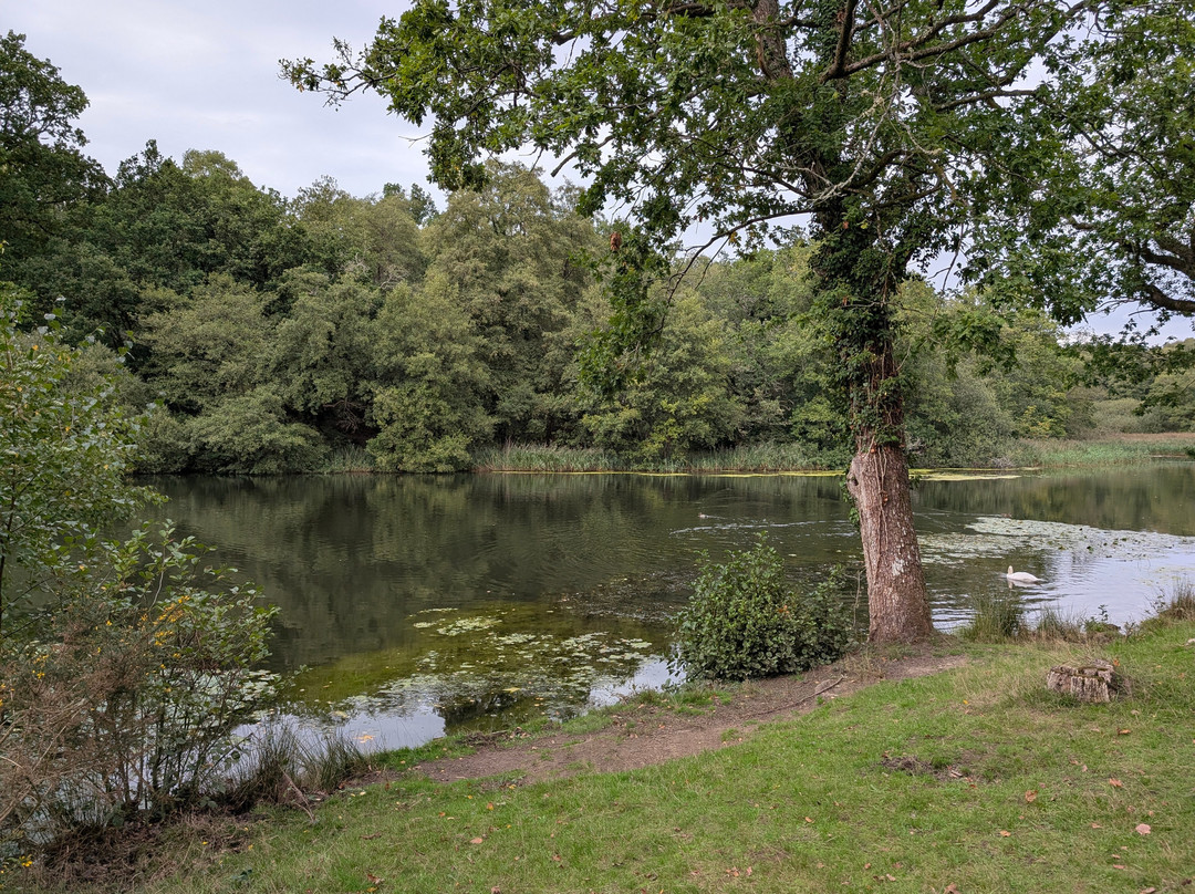 Forest of Dean Wildlife-Parkend必去景点