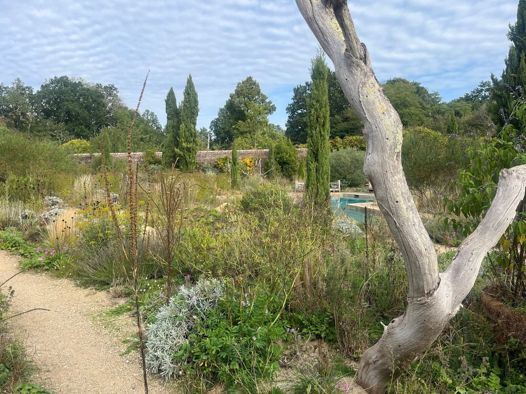Knepp Rewilded Walled Garden
