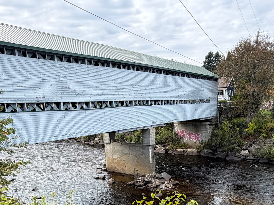 Pont du Faubourg-L'Anse-Saint-Jean必去景点