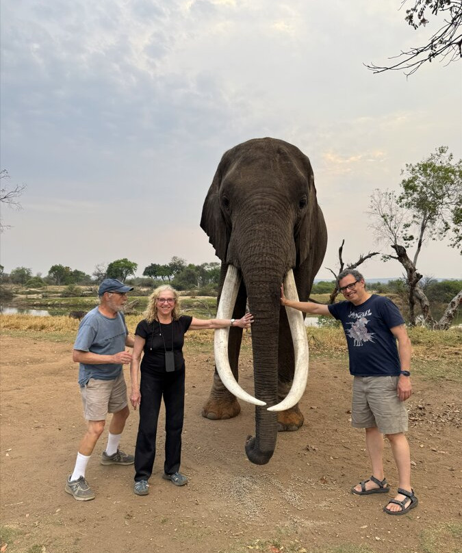 Wild Africa - Tours-班布里必去景点