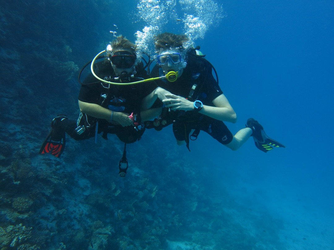 Red Sea Horse Diving-Hurghada 1必去景点