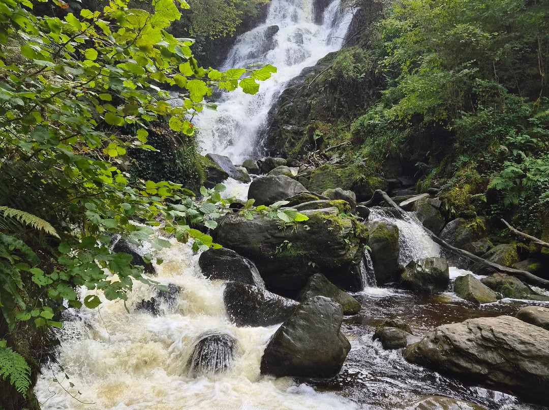 Killarney National Park-基拉尼必去景点