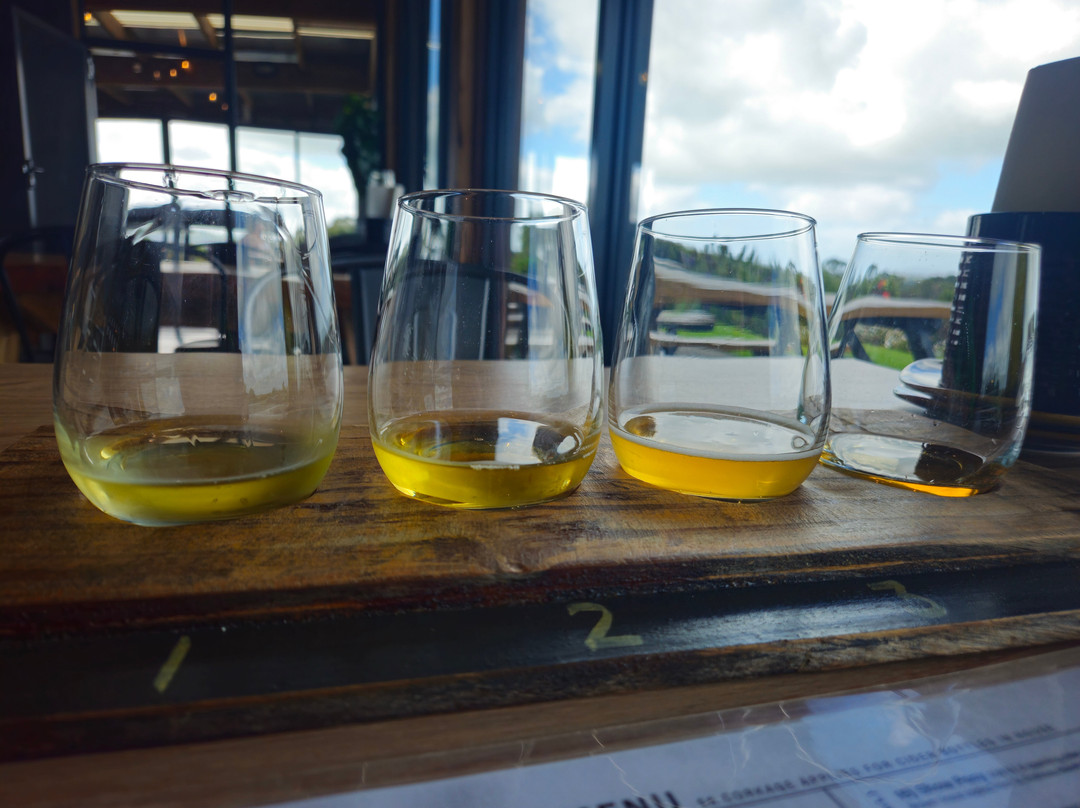 Gurneys' Cidery-福斯特必去景点