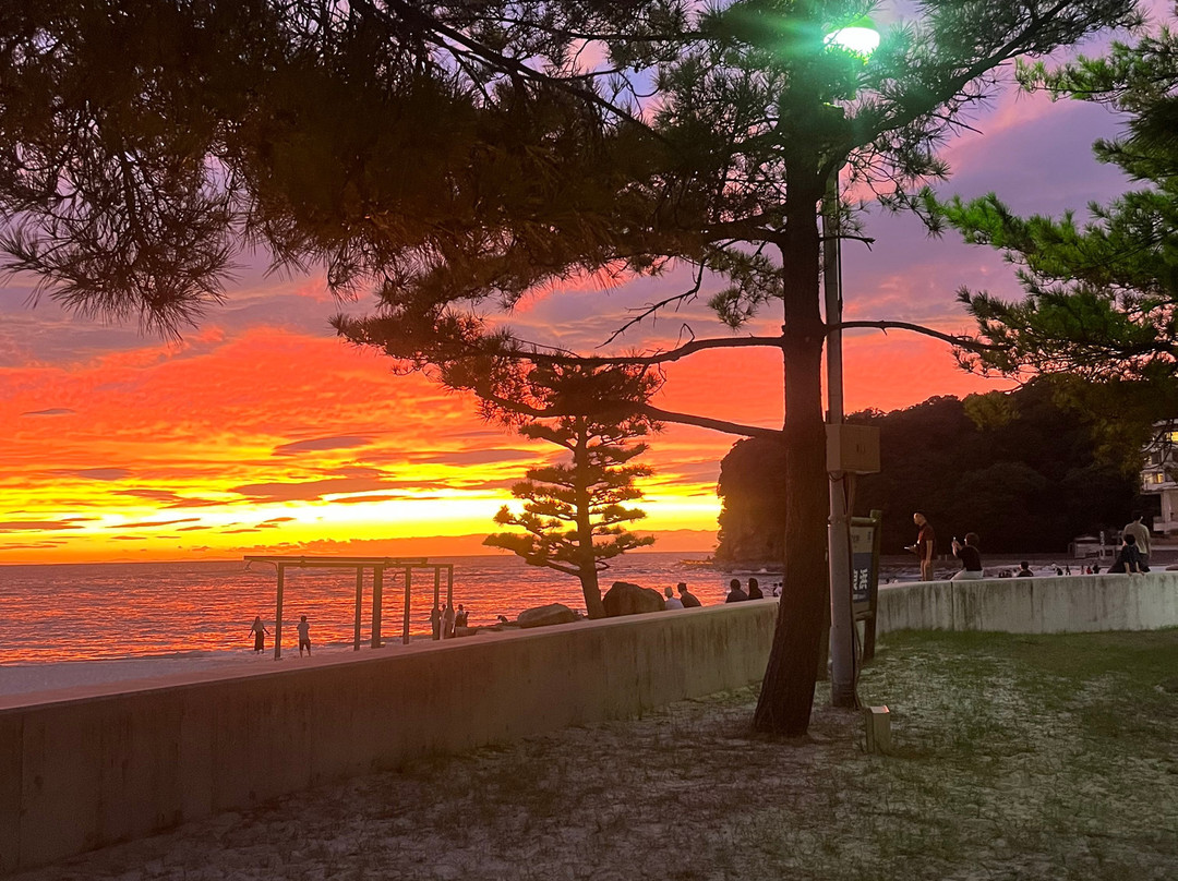 Shirahama Beach-下田市必去景点