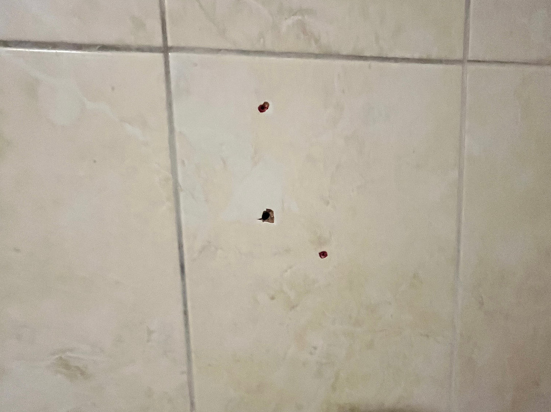 竹子酒店与温泉主图