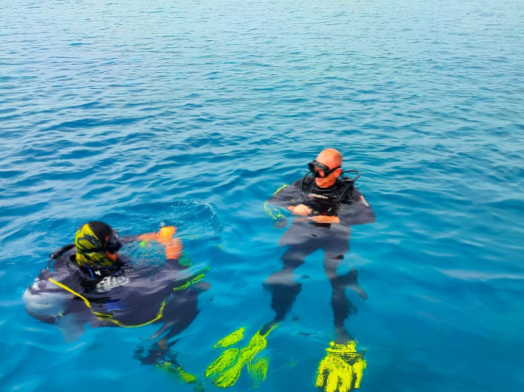 Diving Blues Dive Center-San Francisco必去景点