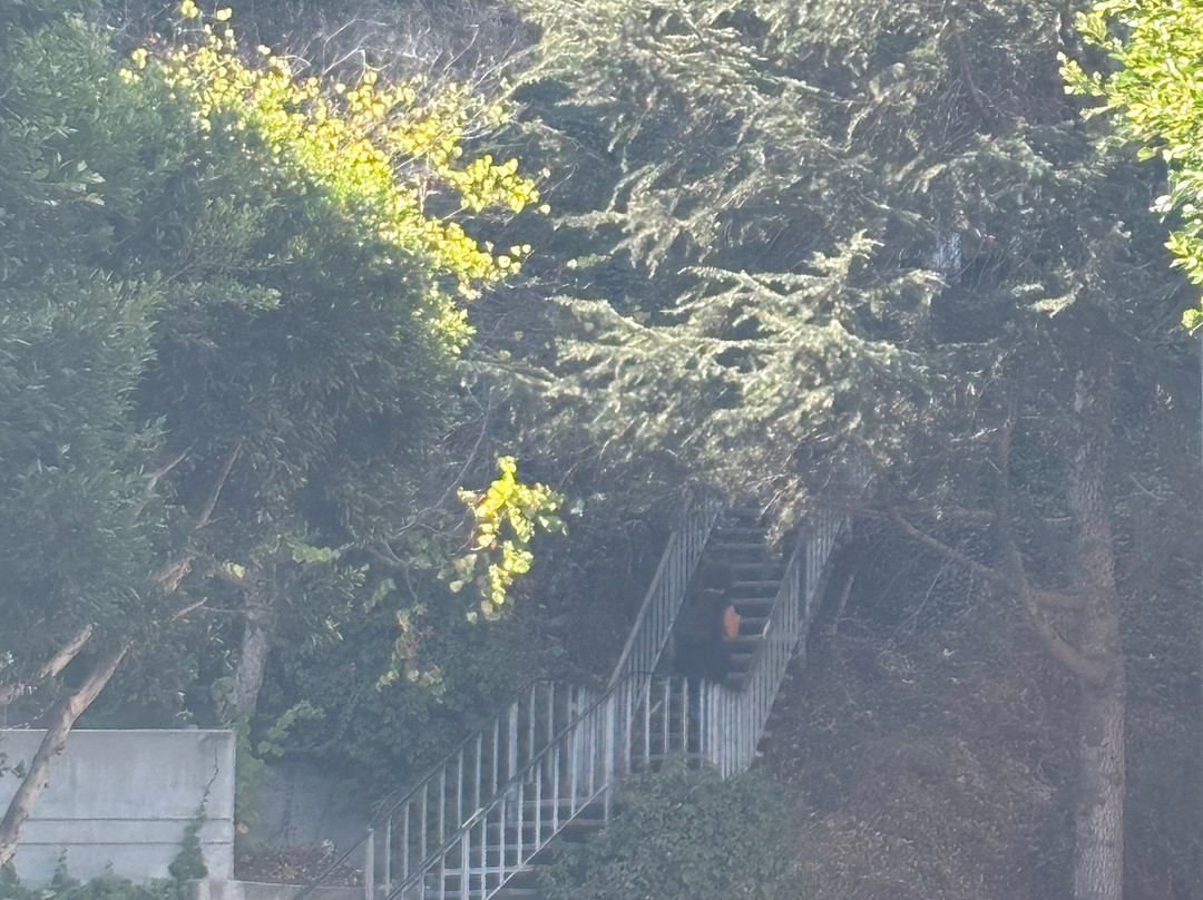 费尔波特步道-旧金山必去景点