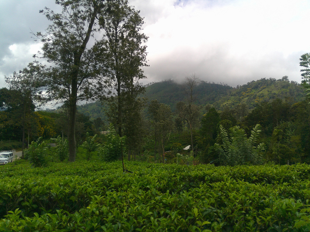 Compass Lanka Tours-Yakkala必去景点
