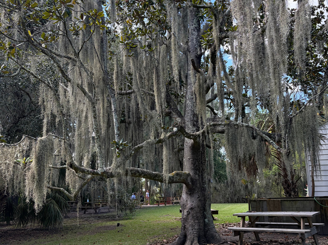 New Orleans Airboat Tours-Marrero必去景点