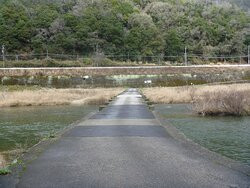Koiji Bridge-南山城村必去景点