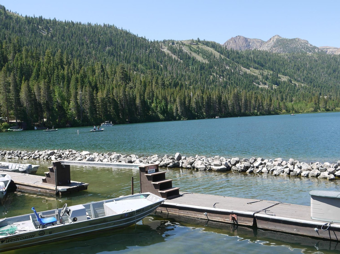 利韦宁酒店住宿-海鸥湖旅舍