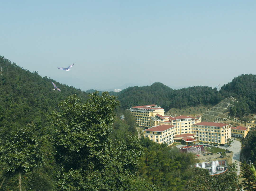 飞天凯莱度假酒店 主图