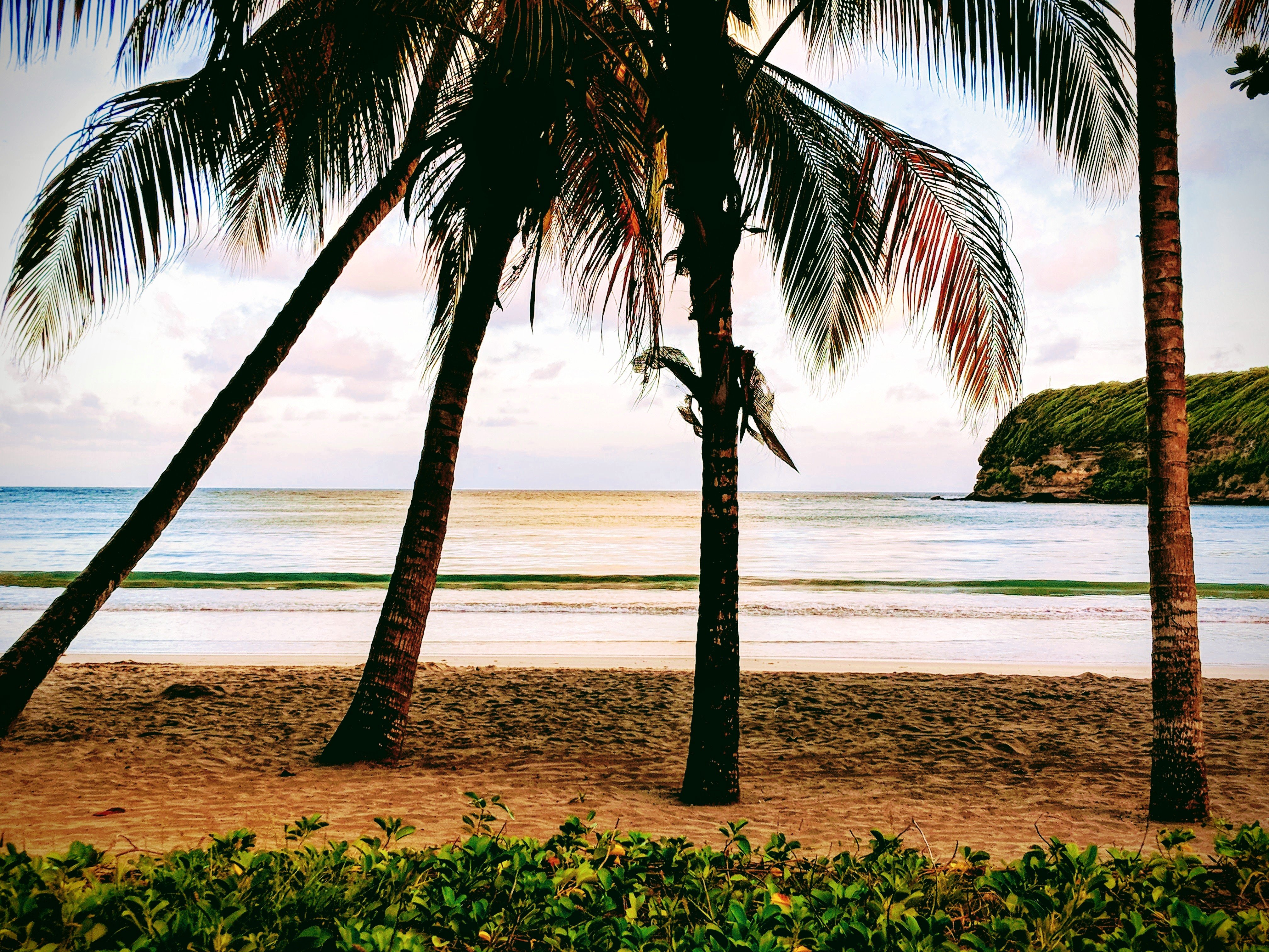 La Sagesse Hotel, Restaurant & Beach Bar-官方