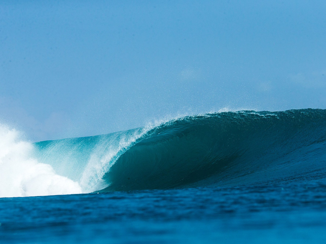 Lampung酒店住宿-Sumatra Surf Resort