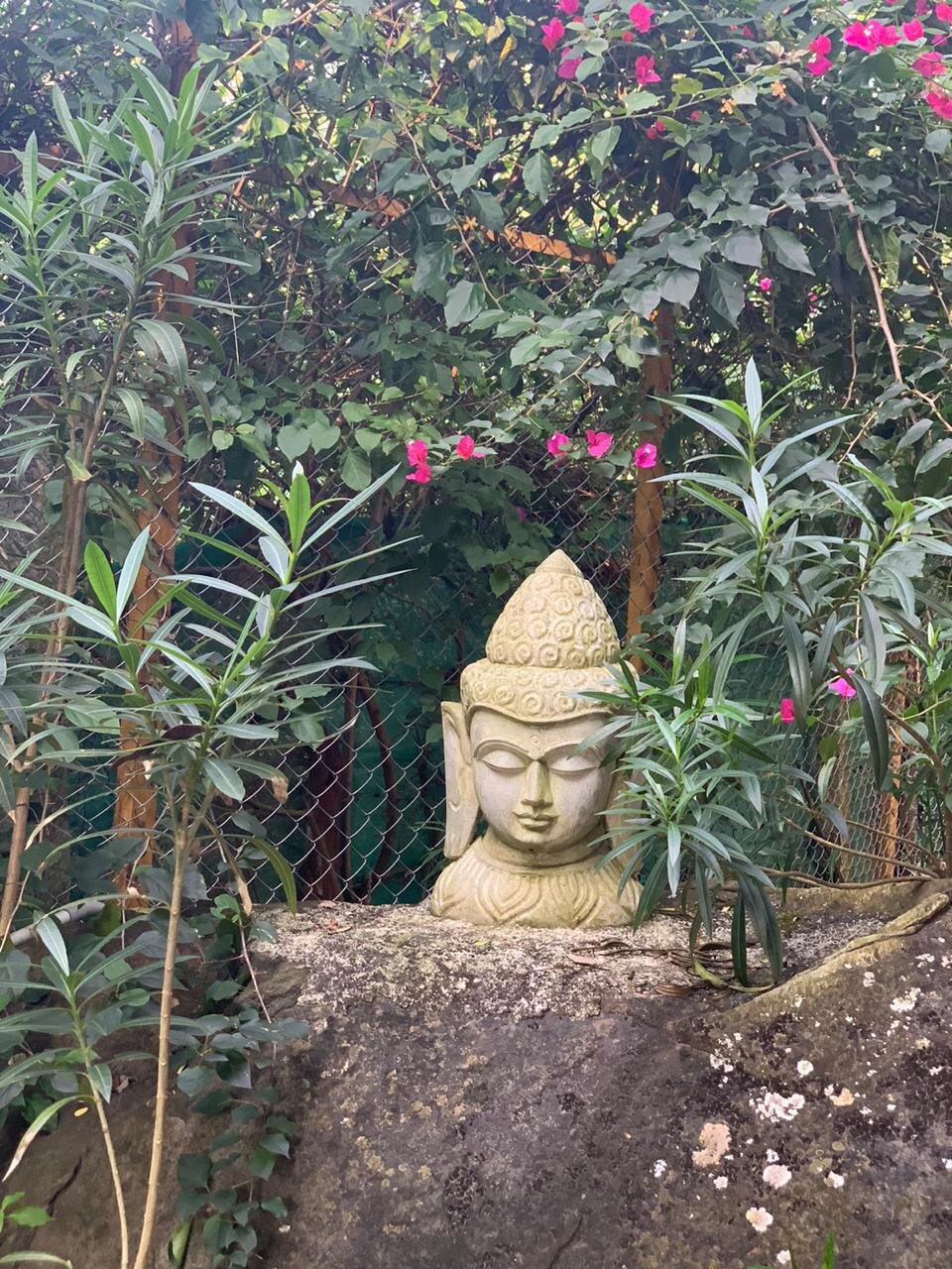 Vedantikala Resort-官方
