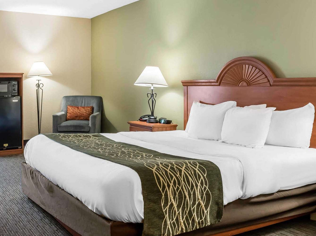 Comfort Inn Pine Grove主图