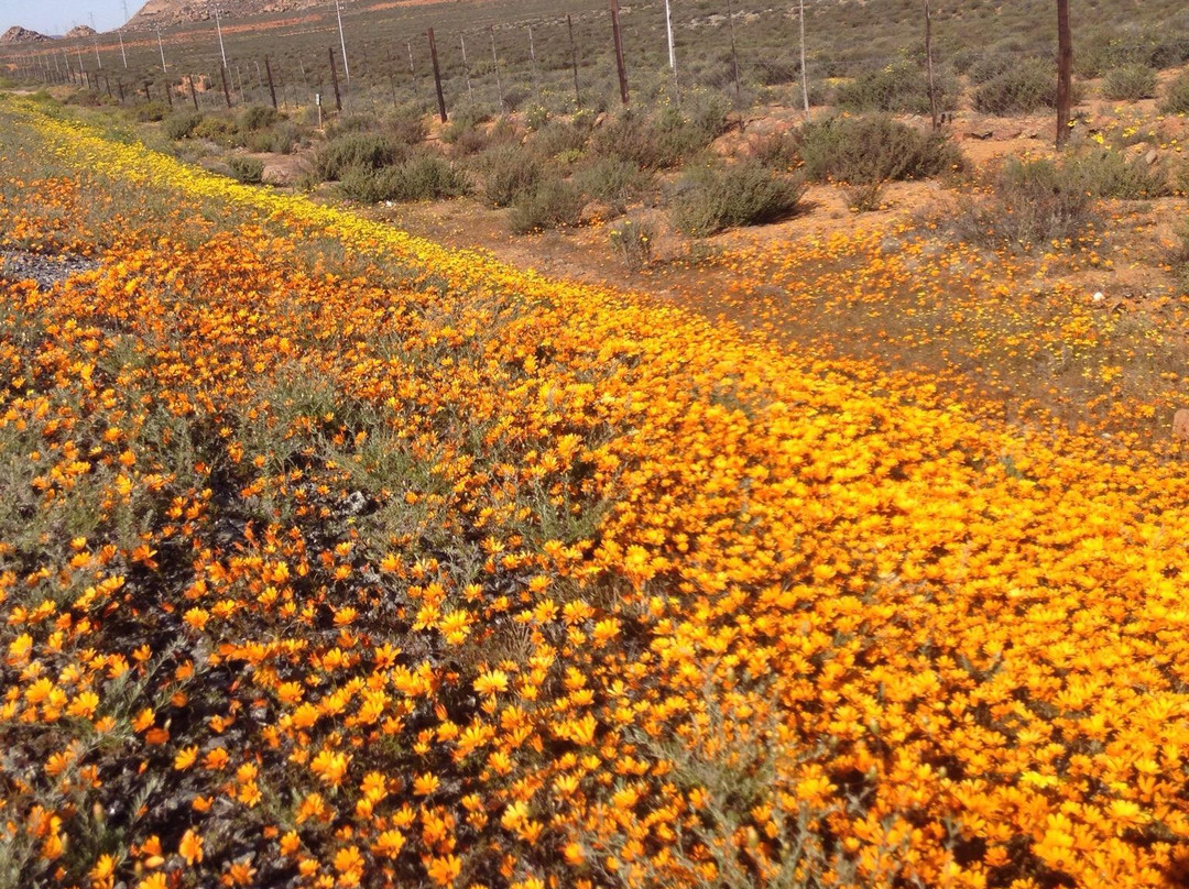 Springbok酒店住宿-Masonic Hotel