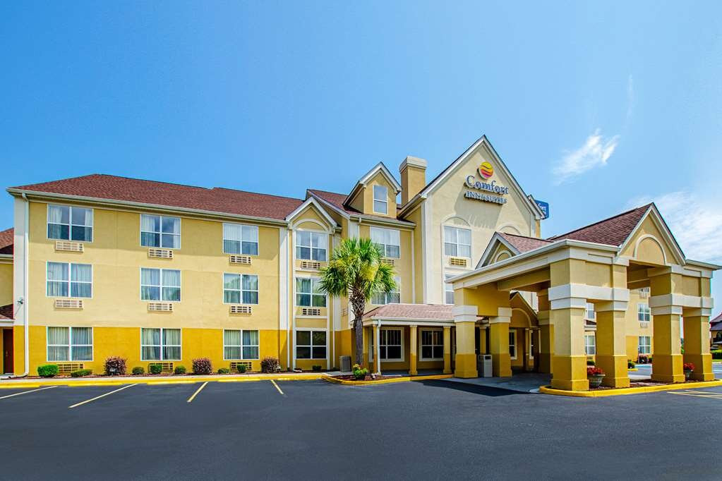 Comfort Inn & Suites Santee I-95主图
